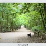 Grunewald